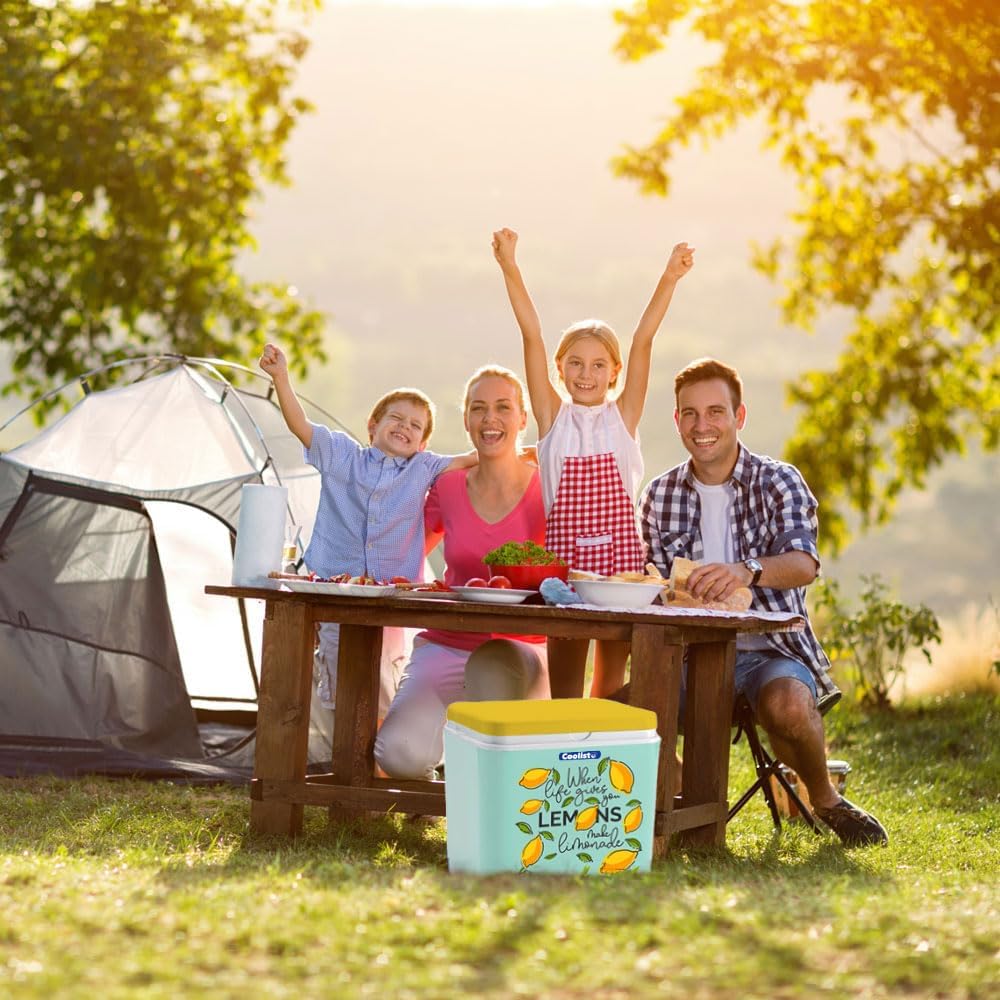 Coolist CLB24LM 24 Litre Limon Desenli Buzluk + 2 Adet 400GR. Buz Kaseti