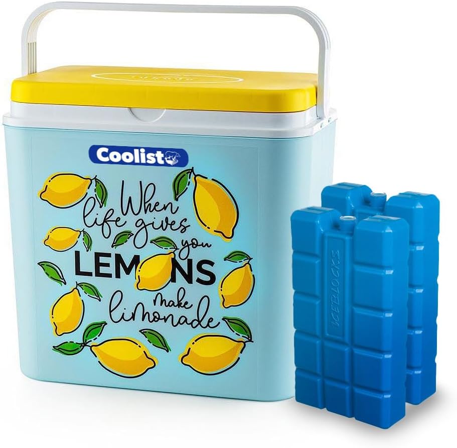 Coolist CLB24LM 24 Litre Limon Desenli Buzluk + 2 Adet 400GR. Buz Kaseti